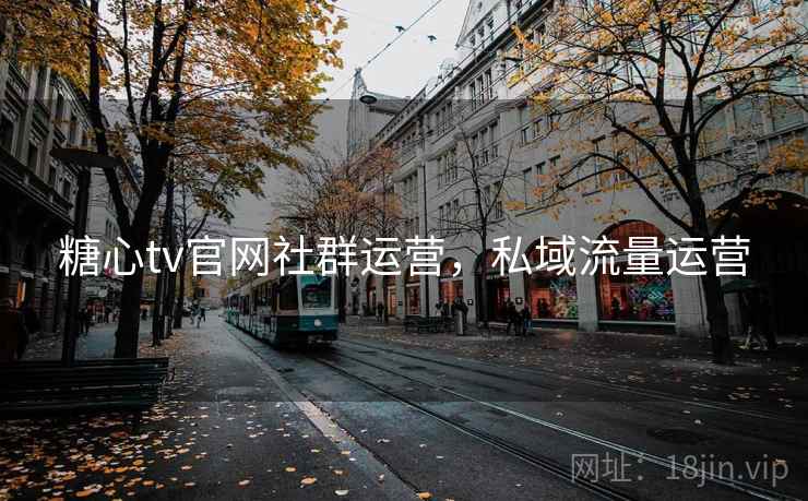 糖心tv官网社群运营，私域流量运营